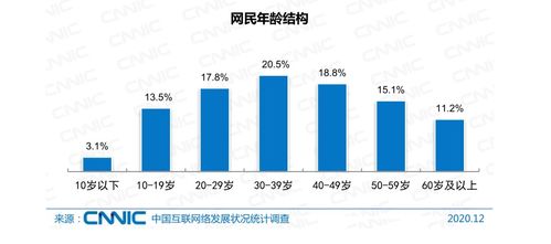 網絡安全 護航互聯(lián)網健康發(fā)展的關鍵基石與嚴峻挑戰(zhàn)